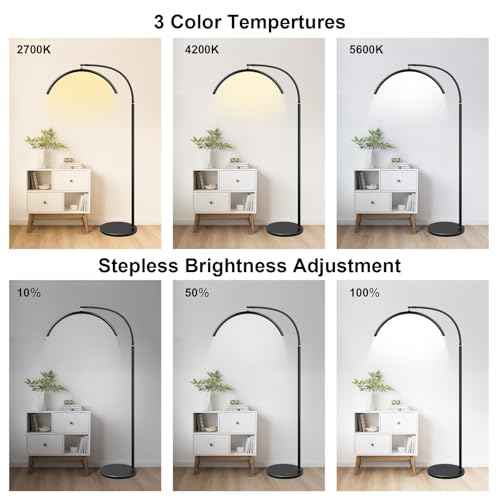 Half Moon LED Floor Lamp - Professional Shadow-Free, Dimmable Light | for Lash Techs, Estheticians & Tattoo Artists | Eyelash Extensions, Nail Art, Home & Office (Matte Black)