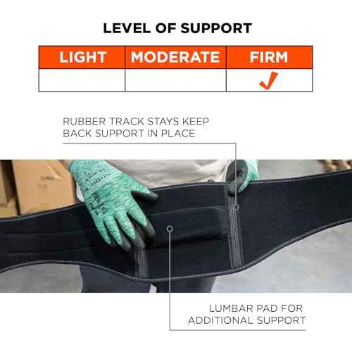 Ergodyne ProFlex 1500 Weight Lifters Style Back Support Belt, Medium, Black