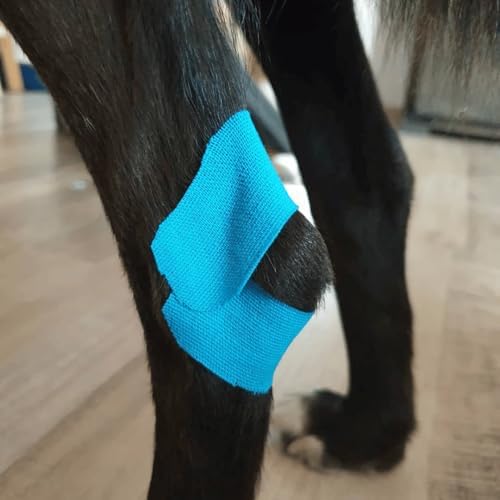 VETKIN VetkinTape® Veterinary Kinesiology Tape Blue | Kinesiology Tape for Horses & Dogs | Equine & Canine Kinesiotape | Latex Free and Quality Mark Certified Ktape | 4 inch | Pack of 1 Roll