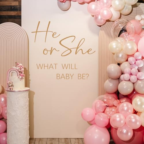He or She Baby Gender Reveal Wall Decals - Vinyl Stickers for Backdrop Party Supply