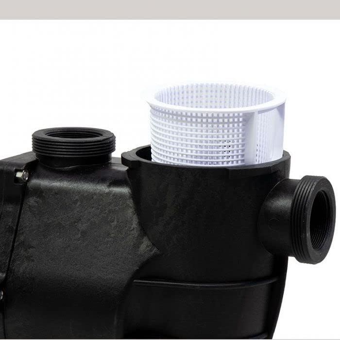 Doheny's Inground Swimming Pool Pro Pump | 1.5 HP, 115V/230V, 97 GPM | Self-Priming, Heavy-Duty, Low-Noise, High-Efficiency | Stainless Steel Shaft, Reinforced Thermoplastic, CSA & ETL Certified