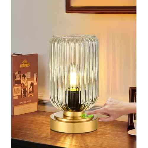 Touch Table Lamp for Nightstand - Small Bedside Lamps for Night Stands Bedroom Living Room, Dimmable Rechargeable Desk Lamp Battery Operated with Clear Glass Shade, Bulb Included