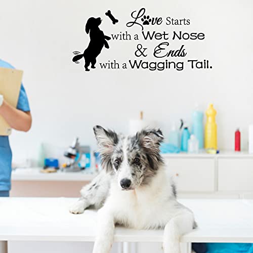 Arts Wall Decal Love Starts with a Wet Nose and Ends with a Wagging Tail Cute Doggy Apartment Bedroom Living Room Vinyl Home Wall Stickers