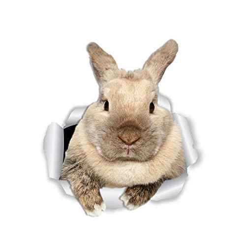Winston & Bear Rascally Rabbit Wall Decals - Easter Decor - 2 Pack - Bunny Toilet Sticker - 3D Cat Car Window and Bumper Sticker - Retail Packaged Bunny Rabbit Gifts