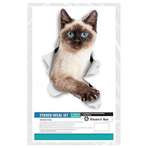 Winston & Bear 3D Cat Stickers - 2 Pack - Breakout Siamese Decals for Wall, Bedroom, Fridge, Toilet, Room - Retail Packaged Blue-Eyed Siamese Stickers