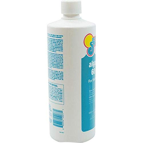 In The Swim Algaecide 60 Plus for Swimming Pools - Non-Metallic, Low Odor, Non-Foaming Algae Bloom Preventative - Chlorine Sanitizer Compatible - 1 Quart