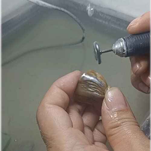 ?????????????? 30 Pcs Wire Brush Wheel, 1/8 Inch Shank Coarse Crimped Steel Wire Brushes Kits for Dremel Rotary Tool (Silver)