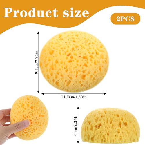 2Pcs Texture Sponges, Sponge for Patch/Repair Ceiling Drywall Wall, Round Clay Sponges for Pottery, DIY Painting Ceiling Wall Texture