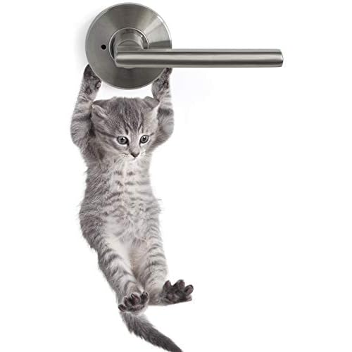 Cute Hanging Baby Kitten cat Door Decal Sticker #6067A
