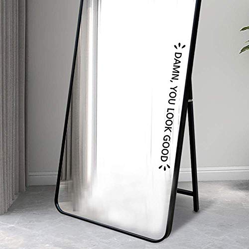 Damn You Look Good Vinyl Mirror Decal Mirror Motivation Decor Positive Affirmation Glass Vinyl Decal 13x1.3inch