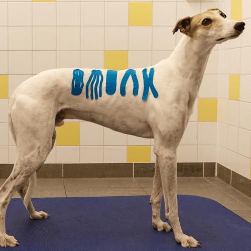 VETKIN VetkinTape® Veterinary Kinesiology Tape Blue | Kinesiology Tape for Horses & Dogs | Equine & Canine Kinesiotape | Latex Free and Quality Mark Certified Ktape | 4 inch | Pack of 1 Roll