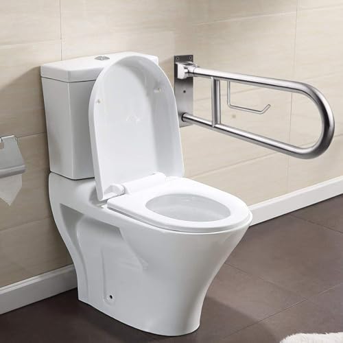 Toilet Grab Bar Stainless Steel Handicap Rails Grab Bars Bathroom Support for Elderly Disabled Safety Hand Railing Guard Frame Shower Assist Aid Handrails Hand Grips (23.6 Inches with Paper Holder)