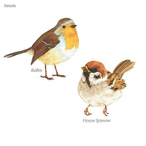 DECOWALL DS2-8038 Little Birds Kids Wall Stickers Wall Decals Peel and Stick Removable Wall Stickers for Kids Nursery Bedroom Living Room (Small) d?cor