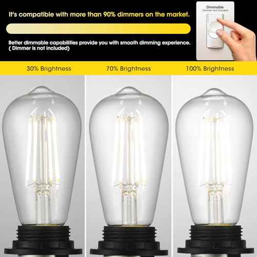 LED Edison Light Bulbs, 60W Equivalent Incandescent Edison Bulbs, Efficient 6W ST58, E26 Medium Base, Dimmable, 750 Lumens, 4000K, Cool White, 90+ CRI, Clear - 24 Count (Pack of 1)