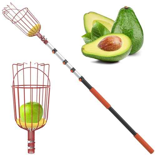 Buyplus 26ft High Reach Fruit Picker with Basket Telescoping, 5-20 Foot Heavy Duty Sturdy Aluminium Telescoping Extension Pole, Easy to Attach Twist-On Metal Basket for Picking Mango Avocado Lemon