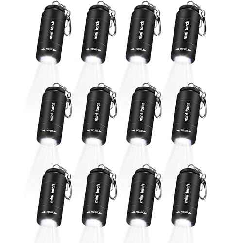 Mudder 12 Pieces Mini Keychain Flashlight Rechargeable Operation Christmas Bulk Plastic Small Torch Flashlight Handheld LED USB Rechargeable Waterproof for Camping Hiking Favor(White Light in Black)