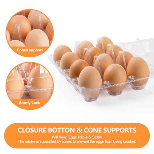 160 Pack Egg Cartons Cheap Bulk 12 Count Clear Empty Egg Cartons for Chicken Eggs 3x4 Grids, Reusable Egg Holder Egg Trays for Family, Chicken Farm, Markets Display - Egg Containers for Fresh Eggs