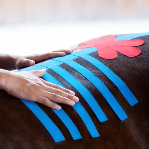 VETKIN VetkinTape® Veterinary Kinesiology Tape Blue | Kinesiology Tape for Horses & Dogs | Equine & Canine Kinesiotape | Latex Free and Quality Mark Certified Ktape | 4 inch | Pack of 1 Roll