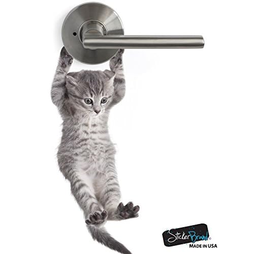 Cute Hanging Baby Kitten cat Door Decal Sticker #6067A