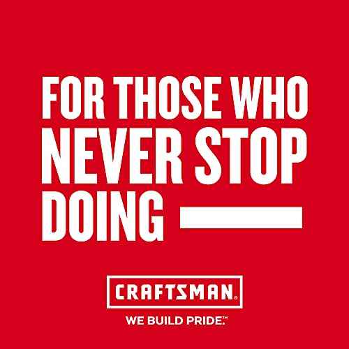 CRAFTSMAN 3/16-in. x 6-in. Flat Head Slotted Acetate Screwdriver