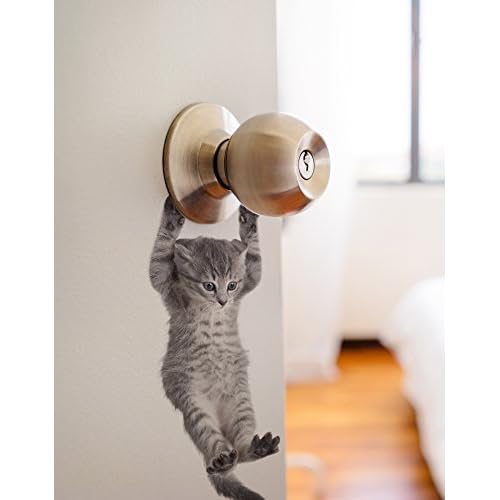 Cute Hanging Baby Kitten cat Door Decal Sticker #6067A