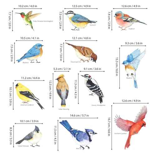 DECOWALL DS2-8042 Little Birds Wall Stickers Wall Decals Peel and Stick Removable Wall Stickers for Kids Nursery Bedroom Living Room (Small)