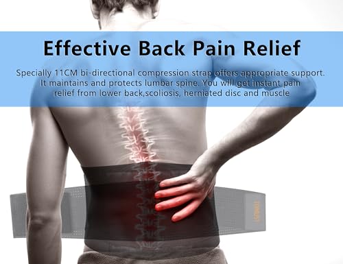 Back Brace - Breathable Waist Belt Lumbar Support for Lower Back Pain Relief, Recovery, Sciatica, Scoliosis, Herniated Disc, Lifting, With Dual Adjustable Straps for Men/Women, XXL