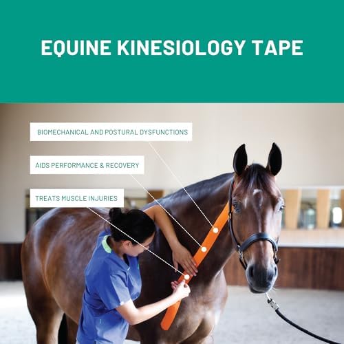 VETKIN VetkinTape® Veterinary Kinesiology Tape Blue | Kinesiology Tape for Horses & Dogs | Equine & Canine Kinesiotape | Latex Free and Quality Mark Certified Ktape | 4 inch | Pack of 1 Roll