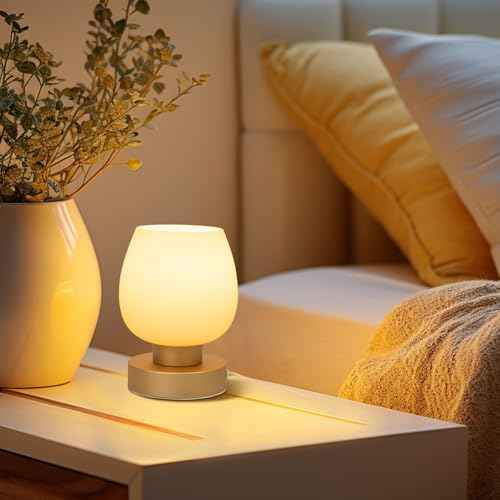 Touch Bedside Table Lamp Set of 2 - Small Modern Table Lamp for Bedroom Living Room Nightstand, 3-Way Dimable Desk lamp with Desert Titanium Color Glass Lamp Shade, 2700K LED Bulb, Simple Design