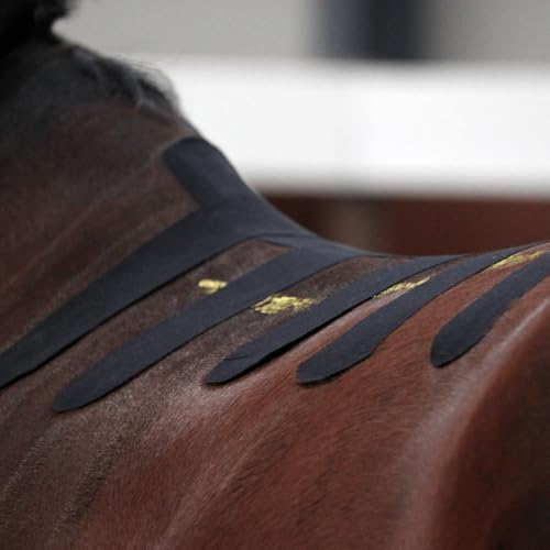VETKIN VetkinTape® Veterinary Kinesiology Tape | Tape for Horses & Dogs | Equine & Canine Kinesiotape | Latex Free and Quality Mark Certified Ktape | 1.2 inch | Pack of 2 Rolls (Black)