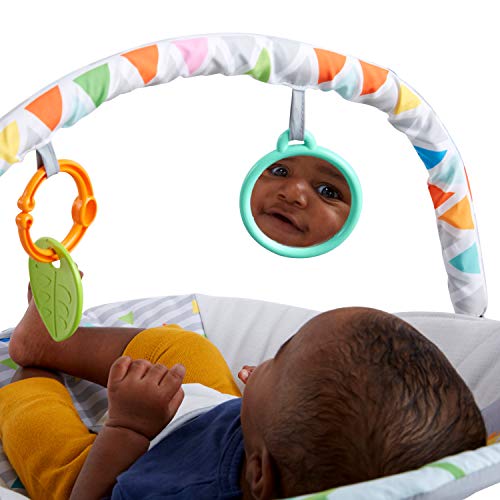 Bright Starts Baby Bouncer Soothing Vibrations Infant Seat - Removable -Toy Bar, Nonslip Feet, 0-6 Months Up to 20 lbs (Safari Fun)