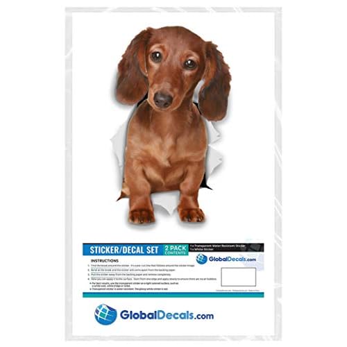 Winston & Bear 3D Dog Stickers - 2 Pack - Long Haired Brown Dachshund for Wall, Fridge, Toilet and More - Doxie 3D Decals - Retail Packaged Sausage Dog