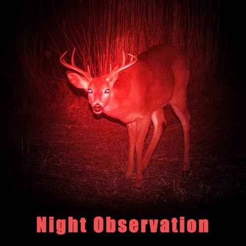 Honoson 8 Pieces Red Light Flashlight LED Single Mode Torch 1 Mode Scalable Red Lens Filter Flashlight for Night Astronomy Aviation Observation Beach Safe