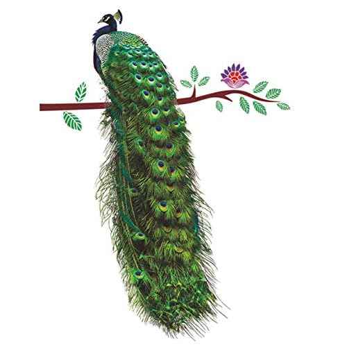 Nature Series Flower Peacock Garden Vinyl Removable DIY Wall Art Mural Sticker Decor Decal - Lady's Bedroom Office Sitting Living Room Hallway Kitchen Glass Door Window Nursery 26"H X 23"W