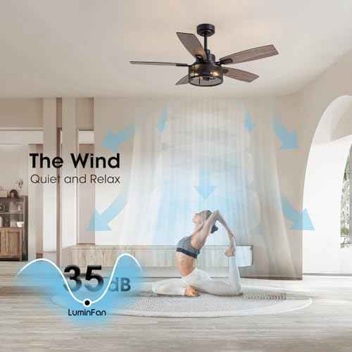 46 Inch Ceiling Fans with Lights and Remote Control, Farmhouse Ceiling Fan for Bedroom Living Room and Patio, Black Caged Ceiling Fan for Indoor and Outdoor