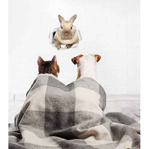 Winston & Bear Rascally Rabbit Wall Decals - Easter Decor - 2 Pack - Bunny Toilet Sticker - 3D Cat Car Window and Bumper Sticker - Retail Packaged Bunny Rabbit Gifts