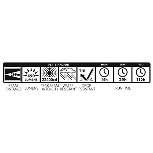 Maglite ML50L LED 2-Cell c Flashlight in Display Box, Gray