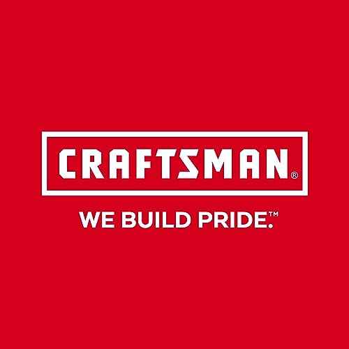 CRAFTSMAN Air Tool Oil, Pneumatic Tool Oil, 4 Oz (CMPCPO100)