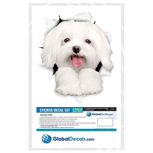 Winston & Bear 3D Dog Stickers - 2 Pack - Cute Maltese Dog Decals for Wall, Fridge, Toilet and More - Retail Packaged Maltese Stickers