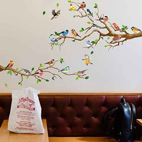 Maydahui Little Birds on Tree Branches Wall Decal Vinyl Wall Sticker (34 x 34 Inch) Removable Peel and Stick Art Murals Decor for Bedroom Offices Classroom Living Room Background