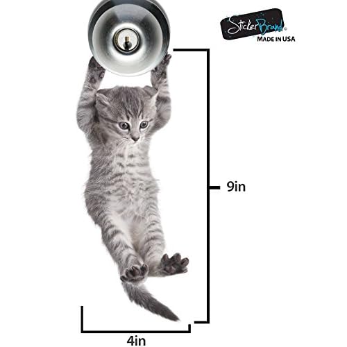 Cute Hanging Baby Kitten cat Door Decal Sticker #6067A
