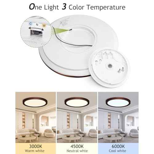 hepside 2PACK Flush Mount LED Ceiling Light Fixture Oil Rubbed Bronze, 12Inch 28W, Dimmable 3000K-4500K-6000K 3 Color Ceiling Lamp 3200LM Low Profile Ceiling Light for Kitchen Bedroom Hallway