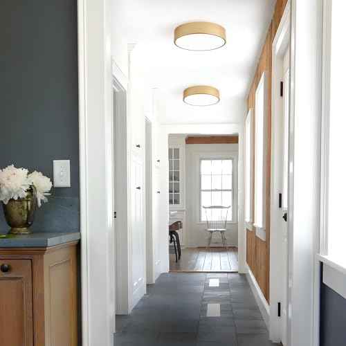 Modern Flush Mount Ceiling Light, 2-Lights Gold Ceiling Light, Minimalistic Ceiling Lamp Acrylic Shade Lighting Fixture for Bedroom Laundry Room Foye Hallway(11.8 Inch)