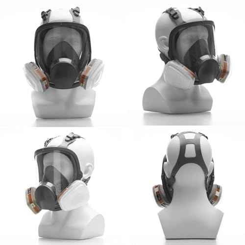 RANKSING Reusable Respirator Full Gas Mask Full 6800 with Filters for Dust, Asbestos, Chemicals while Painting, Spraying