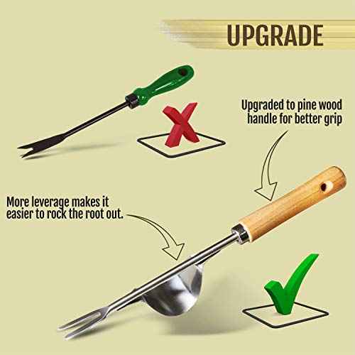 Betus Manual Hand Weeder - Bend-Proof Leverage Base for Super Easy Weed Removal & Deeper Digging - Sturdy Chrome Plated Steel - Compact Dandelion Weed Puller Tool for Yard Lawn and Farm