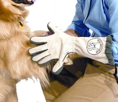 Pet Grooming Gloves for Dogs and Cats with Loop - Made of Microfiber Fabric - Efficient Cleaner for Muddy Paws - Protects Floors, Furniture, and Vehicles from Dirt Marks