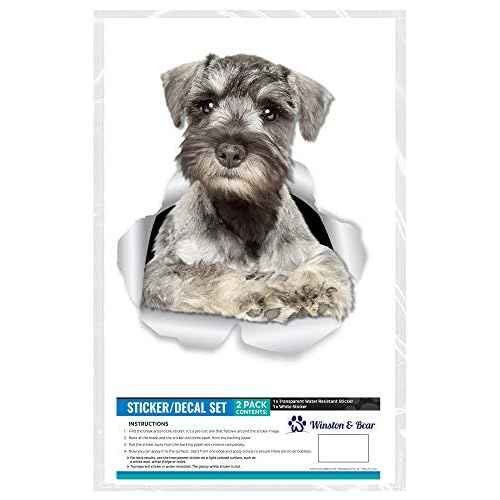 Winston & Bear 3D Curious Schnauzer Wall Decals - Miniature Schnauzer Dog Sticker for Fridge, Door, Car Window and Bumper - Retail Packaged Dog Lover Gift - 2 Pack