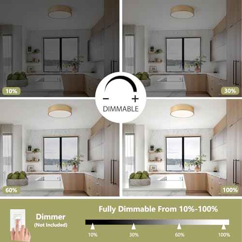 Modern Flush Mount Ceiling Light, 2-Lights Gold Ceiling Light, Minimalistic Ceiling Lamp Acrylic Shade Lighting Fixture for Bedroom Laundry Room Foye Hallway(11.8 Inch)