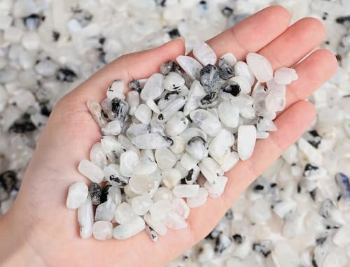LAIDANLA White Labradorite 1lb Crystal Polished Tumbled Stones Irregular Shaped Crystal Chips Bulk Natural Gemstone Aquarium Gravel Rocks Vase Filler Fish Tank Gravel Home Decoration