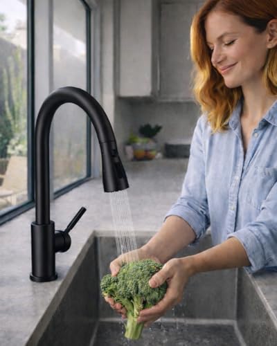 WEWE Kitchen Faucets with Pull Down Sprayer, Stainless Steel Single Handle 1 Hole for Family Kitchen Commercial Camper Laundry Rv Bar, Matte Black